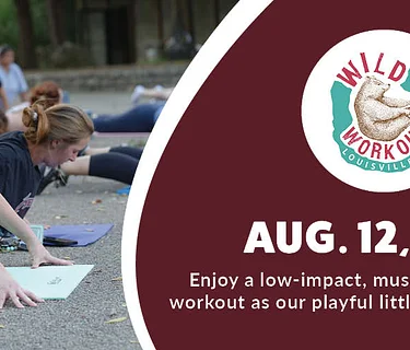 Wild Workout: Pilates (Little Penguin)