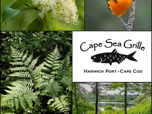 Spring Winetasting Dinner at the Cape Sea Grille