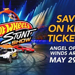 Hot Wheels Stunt Show