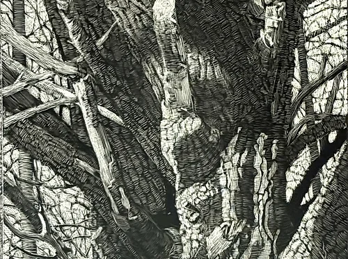 Out of the Woods: From Sketchbook to Scratchboard with Joe Smith