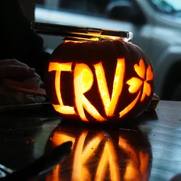 Pumpkin Carving at Snug!