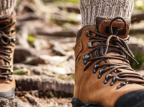 Women in the Woods Hike