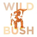 Wild Bush Farm + Vineyard