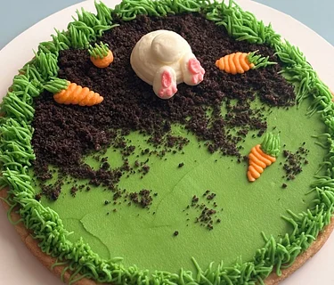 Cookie Cake Decorating Workshop