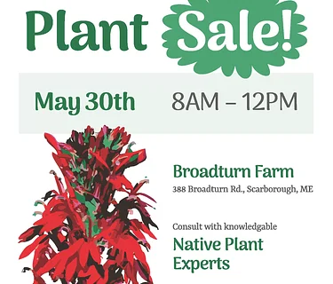 Native Plant Sale