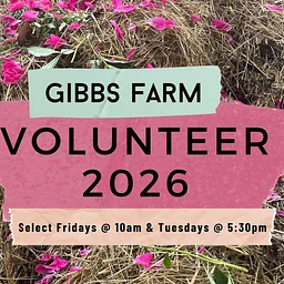 Tuesday Volunteer Days 2026