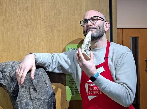 Science Studio: Fossils