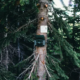 Trail Cameras for Wildlife Photography w/ North Branch Nature Center