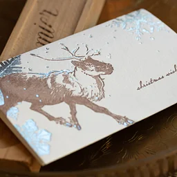 Merry Making: Holiday Card Edition with Lines in Time