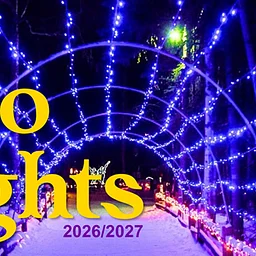 Zoo Lights