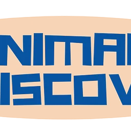 Animal Discovery