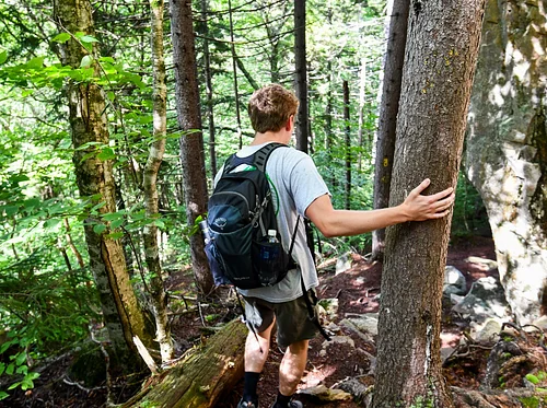 Denali Hiking Challenge