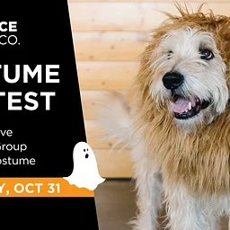 Halloween Costume Contest (for humans and pets!)