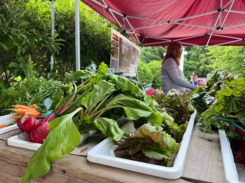 Stowe Farmers Market
