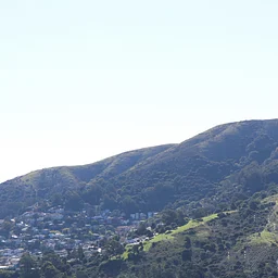 Movie Premiere! Wild Presence—The Story of San Bruno Mountain