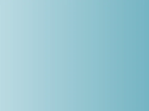 Designing a Four-Season Perennial Garden