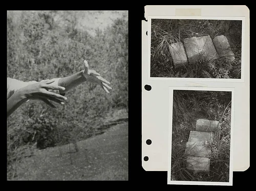 Divination: Beverly Buchanan & Dionne Lee