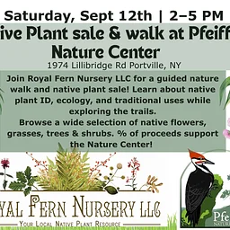 Native Plant Sale & Guided Nature Walk with Royal Fern Nursery