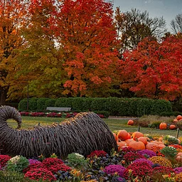 Fall Fest