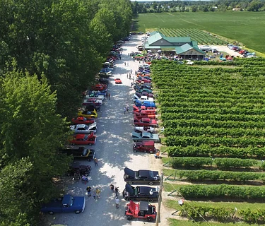 Weekly Car Cruise-In