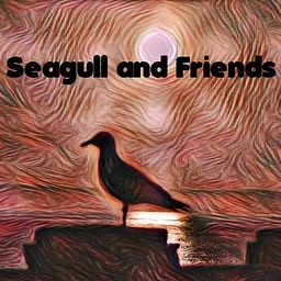Live Music – Seagull & Friends!