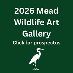 Wildlife Art Gallery Submissions Open