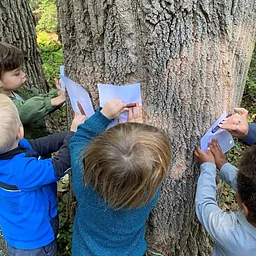 Jenkins Juniors – 10 AM (10/6 – 10/27)