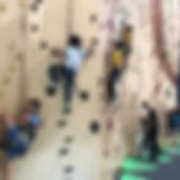 Elementary Program