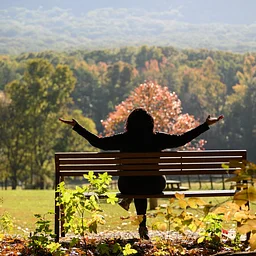 Healing with Nature with The Chattery