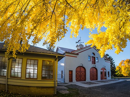 Museum Closed for Holiday