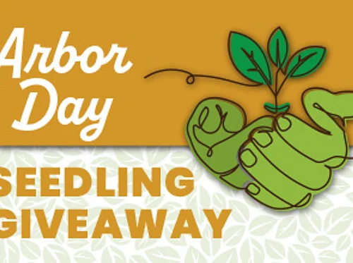 Arbor Day Seedling Giveaway