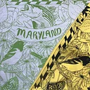 Introduction to Screenprinting on Fabric
