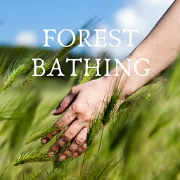 Forest Bathing