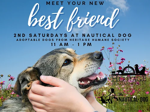 2nd Saturdays at Nautical Dog