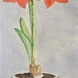 Try Your Hand at Watercolor