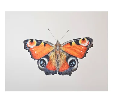 Myth & Meaning in Nature