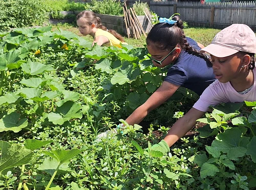 Grow & Gather: Family Gardening Program
