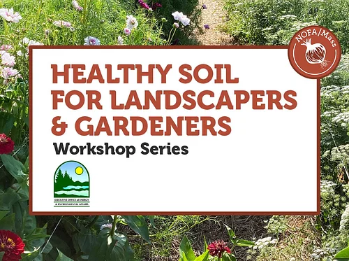 Soil Over Time: Strategies & Assessments for Healthy Gardens WORKSHOP