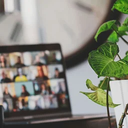Meet the League Virtual Meeting