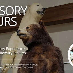 Sensory Hours | Fossils, Fossil Cart