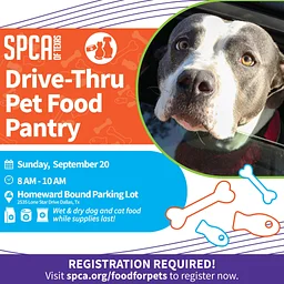 Drive-Thru Pet Food Pantry