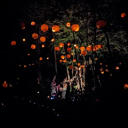 Walk-Through The Farmer City Haunted Forest