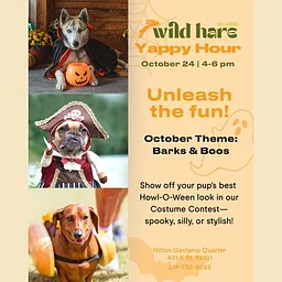 Yappy Hour: Barks & Boos