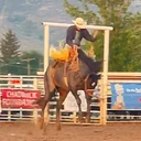 Caribou County Fair and Rodeo