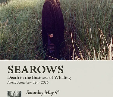 Searows
