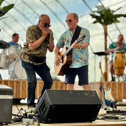 DREAMSICLE: A JIMMY BUFFET MUSICAL JOURNEY