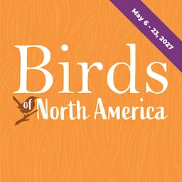 Birds Of North America