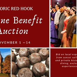Online Benefit Auction