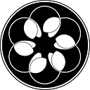 Cottonwood NYC