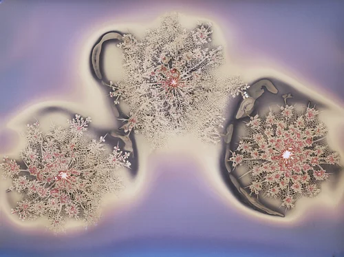 Botanical Alchemy: A Weekend of Lumen Prints & Phytograms with Anne Eder